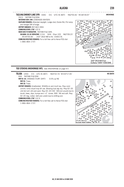 TELIDA - Airport Diagram