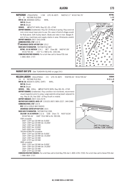 NELSON LAGOON - Airport Diagram