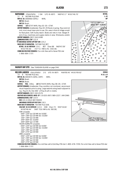 NELSON LAGOON - Airport Diagram